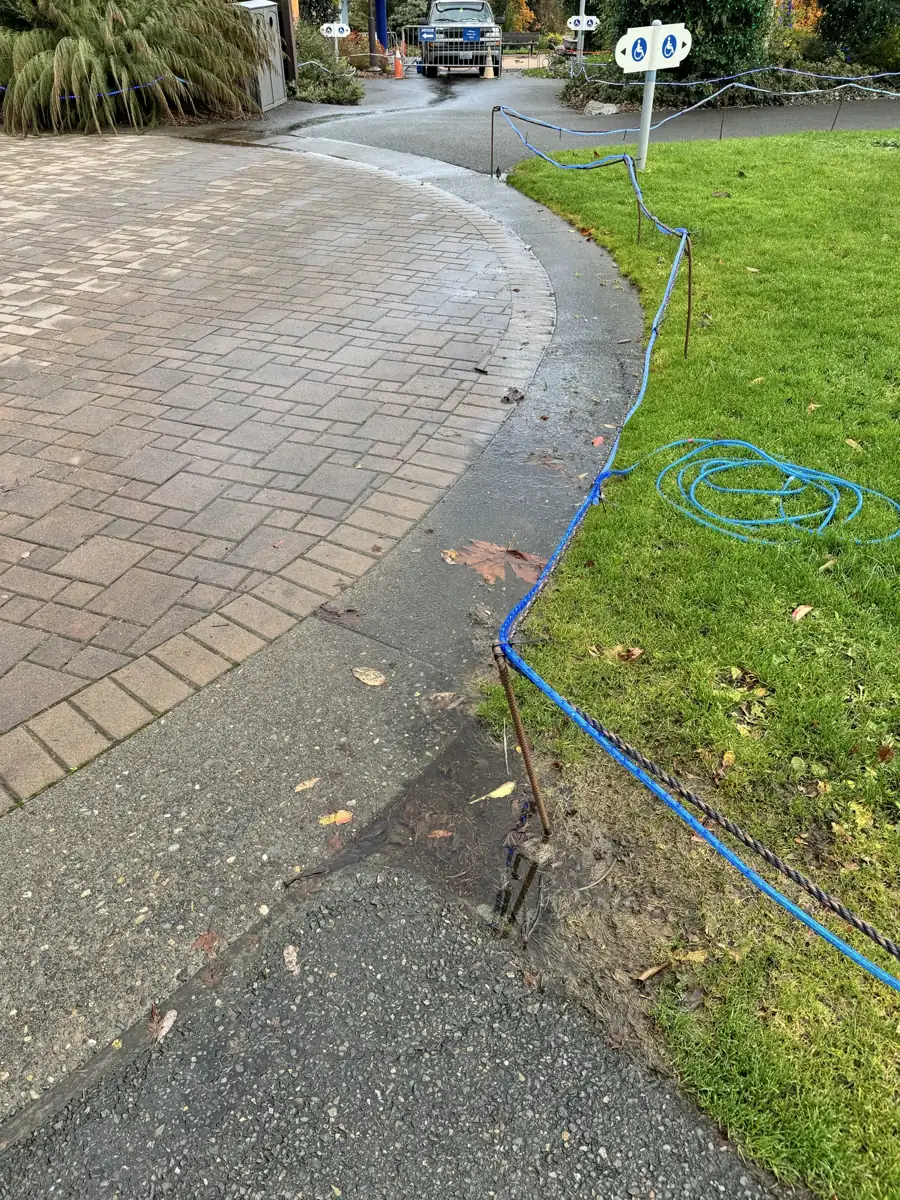 Curved decorative walkway and landscape restoration