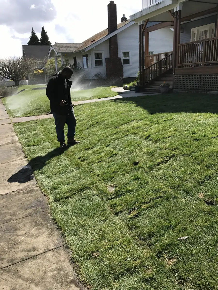 New sod and landscape restoration after site work